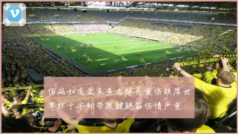 伤病如虎袭来多名球员重伤缺席世界杯十字韧带跟腱腿筋伤情严重